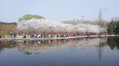 Similar image