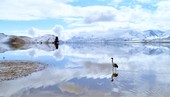 Similar image