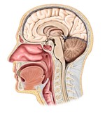 Similar image