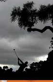 Similar image