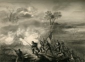 Similar image