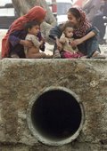 Similar image