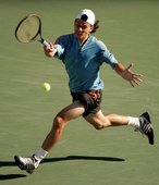 Similar image