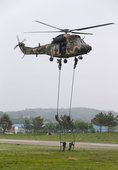 Similar image