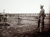 Similar image