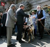 Similar image