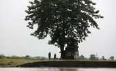 Similar image