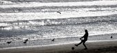 Similar image