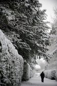 Similar image