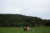 Similar image