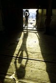 Similar image