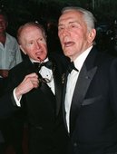 Similar image