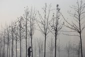 Similar image