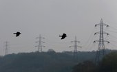 Similar image