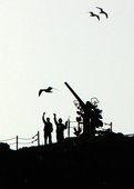Similar image