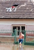 Similar image