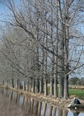 Similar image