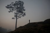 Similar image
