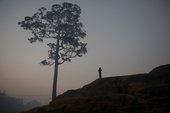 Similar image