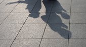 Similar image