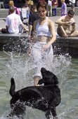 Similar image