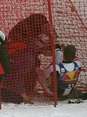Similar image