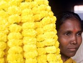 Similar image
