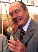 Similar image