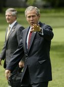Similar image