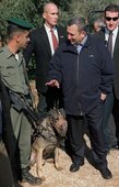 Similar image