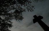 Similar image