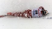 Similar image