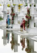 Similar image