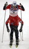 Similar image
