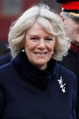 Similar image