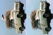 Similar image