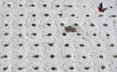 Similar image