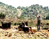 Similar image