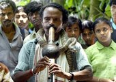 Similar image