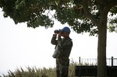 Similar image