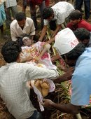Similar image