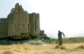 Similar image
