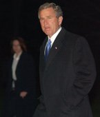 Similar image
