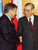 Similar image