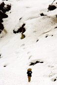 Similar image