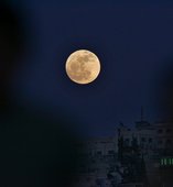 Similar image