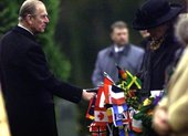 Similar image
