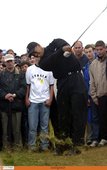 Similar image