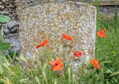 Similar image