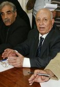 Similar image
